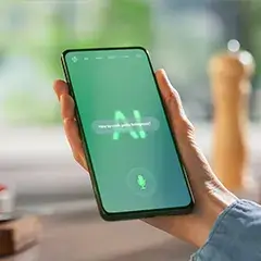 Voice and Visual Search Assistants