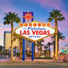 Check Out the Sights & Sounds