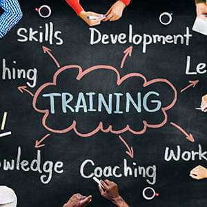 Train the Staff